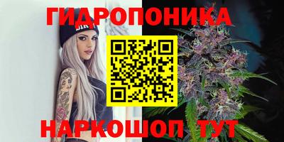 кокс Лесосибирск