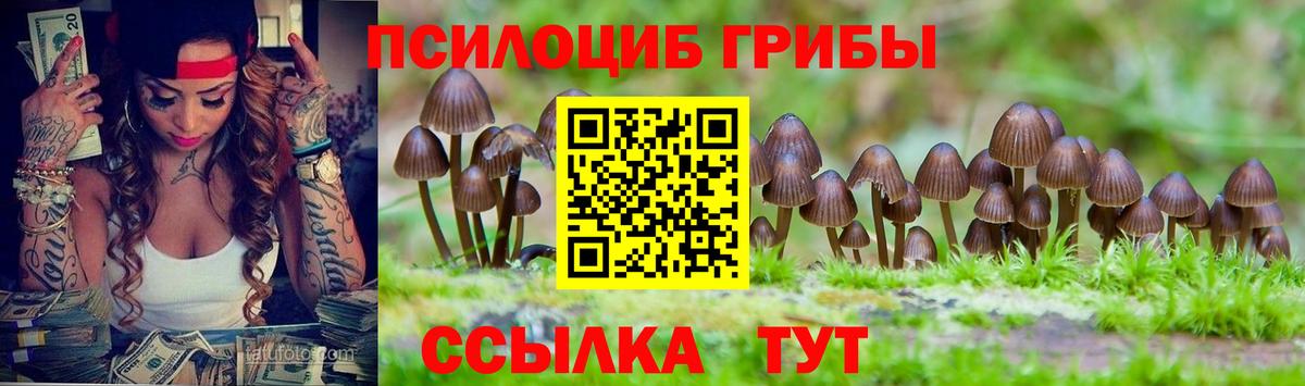 Галлюциногенные грибы Cubensis Ейск